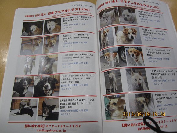 飼い主を捜しています―福島の犬たち (“Have you seen our owners?” — The Dogs of Fukushima)